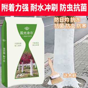 40斤国光涂尔大树涂白剂刷白果树防虫防冻防菌防霜冻石灰粉可喷涂