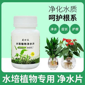 [水培植物净水片消毒片鲜花保鲜富贵竹营养液花店净化水质]