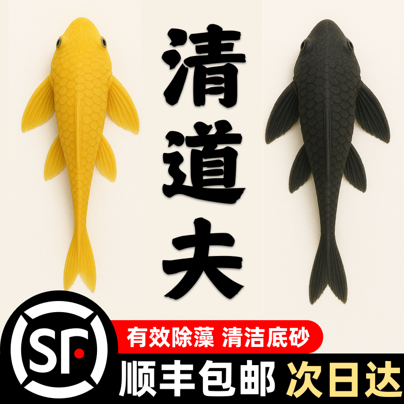 清道夫鱼热带鱼观赏鱼吃屎垃圾粪便清理藻类孔雀鱼吃鱼粪便的鱼