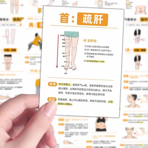 96张穴位调理中医传统文化贴纸