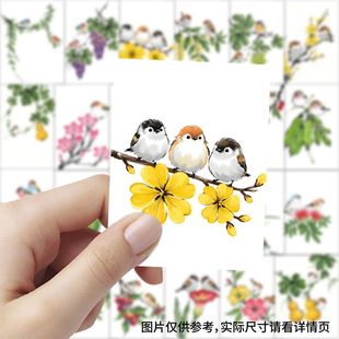 189张国风小鸟插画童稚贴画教学临摹示范参考简笔画素材老师教材