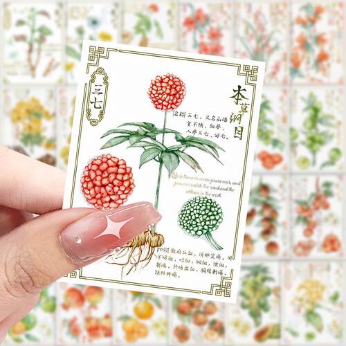 126张本草纲目中医文化高颜值精美贴纸画DIY装饰手机壳手账本桌面