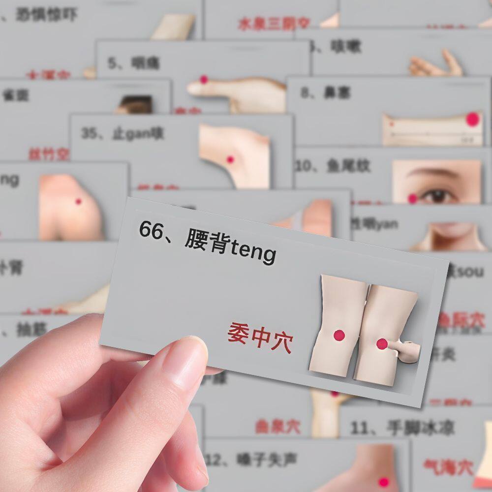 204张人体穴位养生贴纸科普身体实用知识桌面手机壳防水装饰贴纸