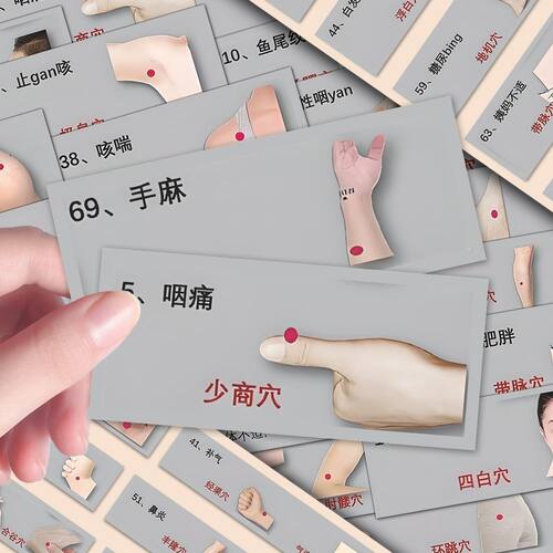 养生人体穴位知识贴纸中医健康身体调理diy笔记本粘贴防水