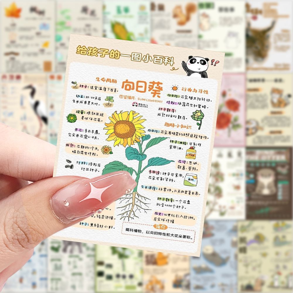 动植物科普贴纸儿童学生学习贴画课外拓展知识装饰个性手账图片