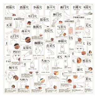 212张人体穴位贴纸健康养生医学知识科普按摩调理diy装饰手账素材