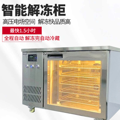 商用解冻柜静电场低温缓化冰箱鸡羊牛排冻肉冷藏化冻柜.嫩化解冻