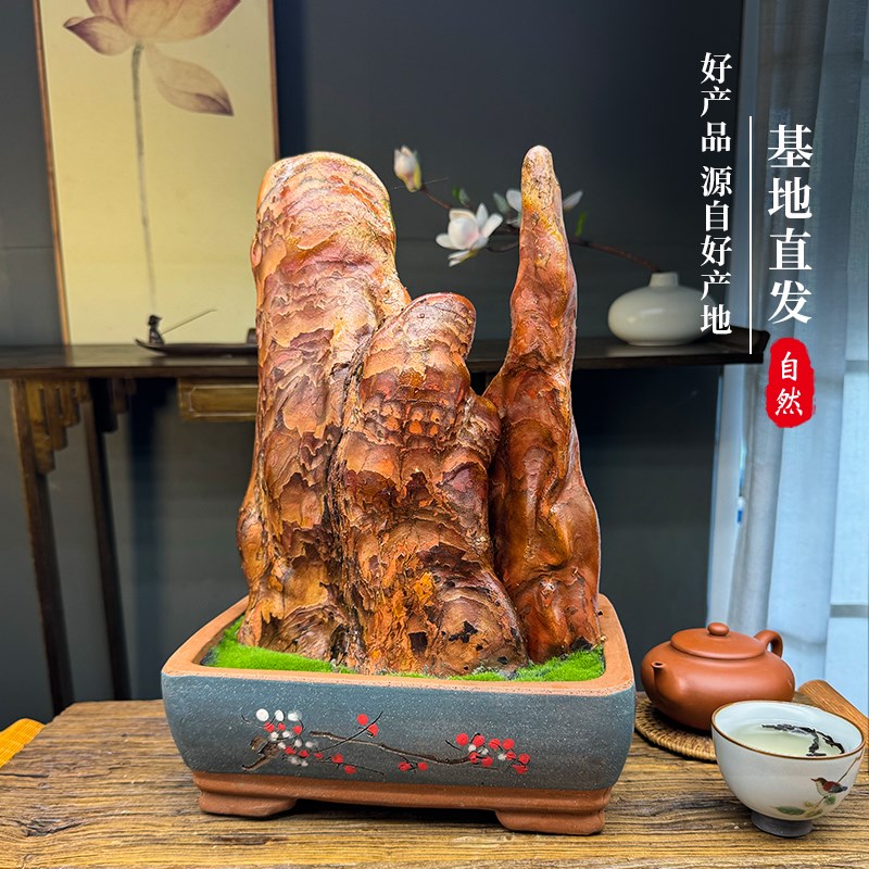 檀香木盆景送礼领导高档办公室味驱蚊盆栽摆件茶室四季檀木香