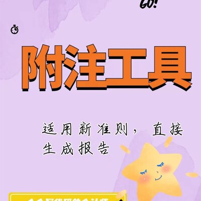 附注工具 (适用新准则)一键K生成报告,免费更新