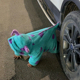 宝宝衣服小怪兽可爱外出爬服新款蓝色婴儿连体衣冬季加厚毛怪棉服