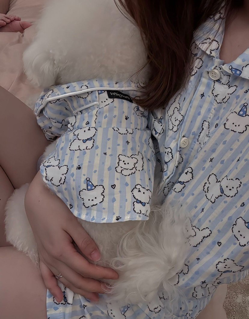 薄款防晒防掉毛空调服猫狗通穿宠物衣服线条小狗夏季可爱情侣装