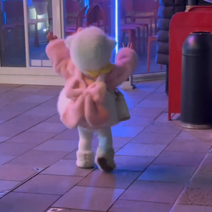 套装粉色毛茸茸女童加绒外套秋冬款2025新款儿童冬可爱上衣蝴蝶结