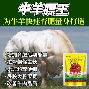 牛羊膘王催肥增重猛长快速长肉生长素牛犊羔羊快长拉骨架增肥小料