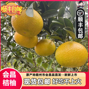 10斤江西赣南会昌甜桔柚精品新鲜孕妇水果当季非庆元建阳现摘橘柚