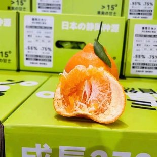 正宗大雅柑春见粑粑柑整箱礼盒装7斤大果甜丑八怪四川柑橘水果