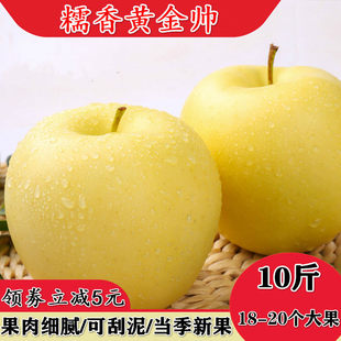 粉面苹果金帅新鲜水果黄元帅甜沙吃的烟台黄香蕉刮泥5斤10斤包邮