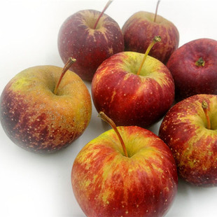 东北123小苹果龙丰果大秋果整箱5斤新鲜当季水果海棠果沙果包邮