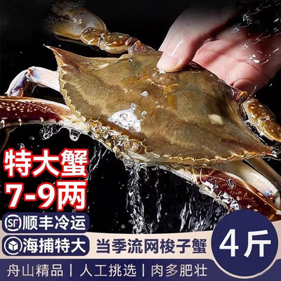 舟山鲜活梭子蟹次日达新鲜特大白蟹螃蟹海鲜野生蟹飞蟹水产非冷冻