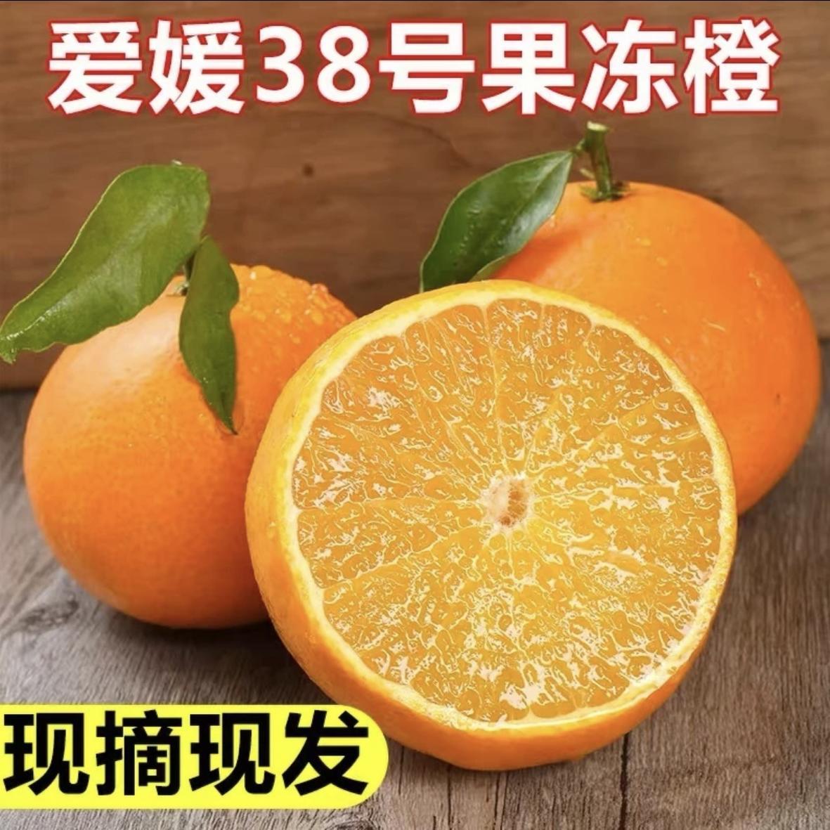正宗四川爱媛38号果冻橙新鲜采摘水果甜手剥大柑橘桔子10斤包邮