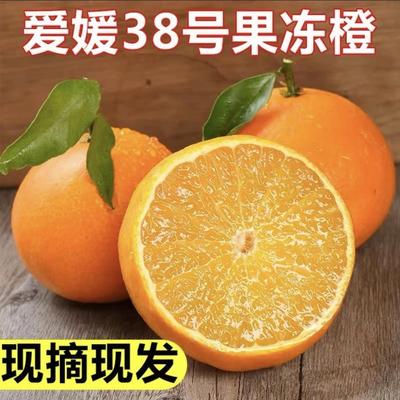 正宗四川爱媛38号果冻橙新鲜采摘水果甜手剥大柑橘桔子10斤包邮