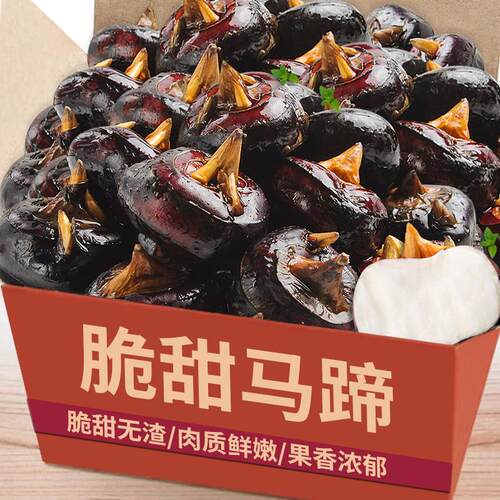 新鲜马蹄荸荠农家现挖当