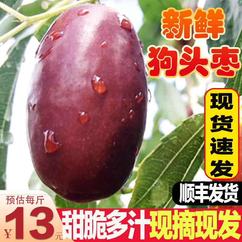 狗头枣新鲜陕西特级大枣陕北鲜枣延安脆枣鲜红枣长枣水果枣子新鲜