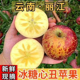 云南丽江宁蒗冰糖心丑苹果应季泸沽湖脆甜红富士小凉山野生萍果
