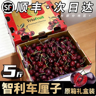 智利车厘子2斤装J级大果新鲜水果顺丰黑车4J级脆甜多汁大樱桃5斤