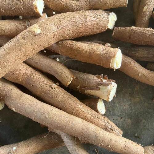 黄肉木薯农家现挖面包木薯白肉新鲜甜木薯生树番薯南洋薯