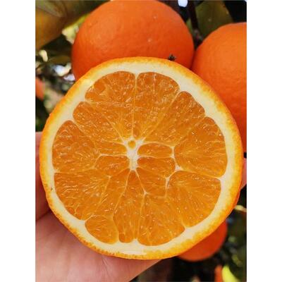 【顺丰包邮】正宗四川大