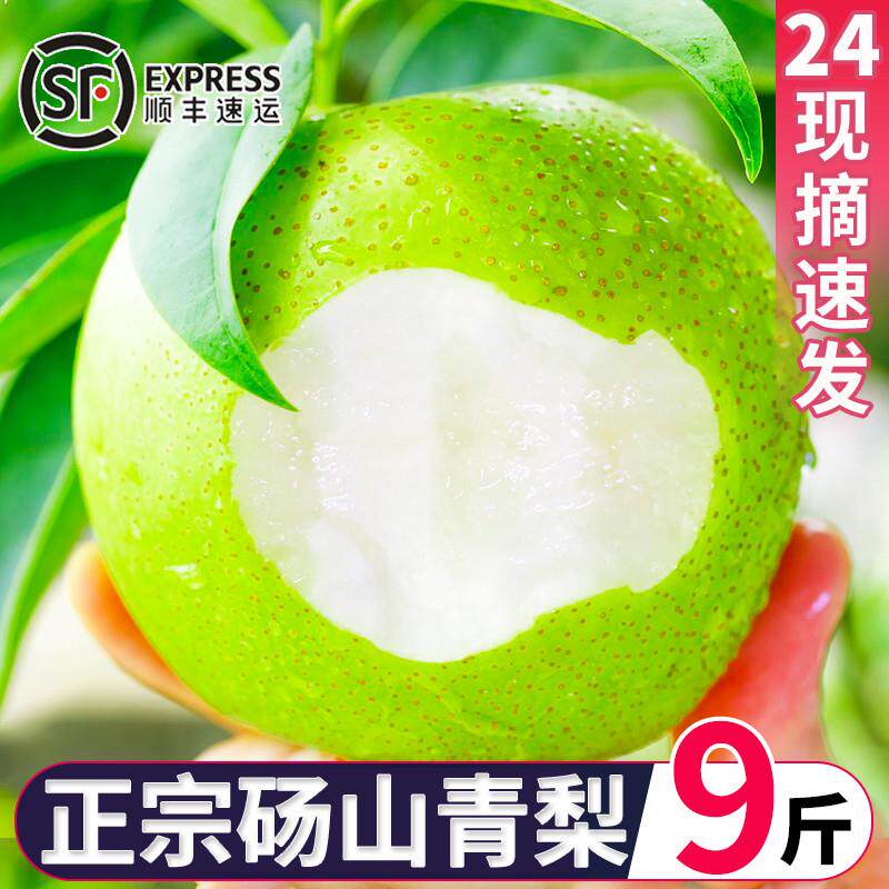 正宗砀山青梨新鲜梨子水果10斤当季顺丰包邮整箱翠冠梨皇冠梨雪梨