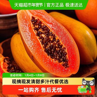 木瓜新鲜下奶水果红心牛奶整箱当季应季孕妇冰糖青树上自然熟