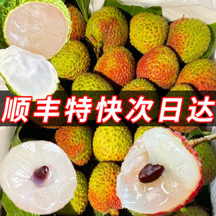 妃子笑荔枝新鲜现摘现发海南广白东西糖罂贵妃水果大礼盒10斤整箱