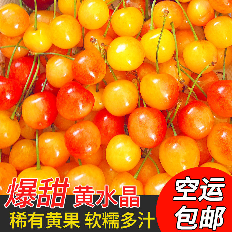 烟台黄蜜大樱桃3斤/山东