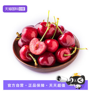 【自营】智利进口车厘子大樱桃水果黑珍珠新鲜礼盒进口4J级5斤