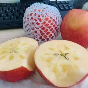 甘肃靖远三滩冰糖心红富士苹果精装10斤农产脆甜16--18颗大果