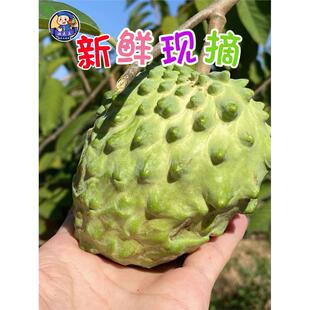 顺丰空运云南牛奶凤梨释迦果摩尼新鲜番荔枝林檎大果元谋版纳水果