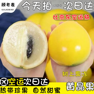 空运云南冬蜜黄晶果新鲜黄金果西双版纳黄金牛奶果雅美果水果5斤