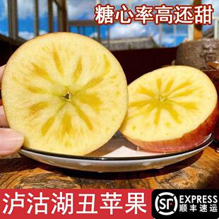 藏地泸沽湖冰糖心丑苹果丽江宁蒗糖心苹果云南高山新营盘昭通腚