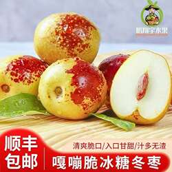 【顺丰包邮】正宗山西临猗冬枣脆甜冰糖脆枣红枣新鲜当季孕妇水果