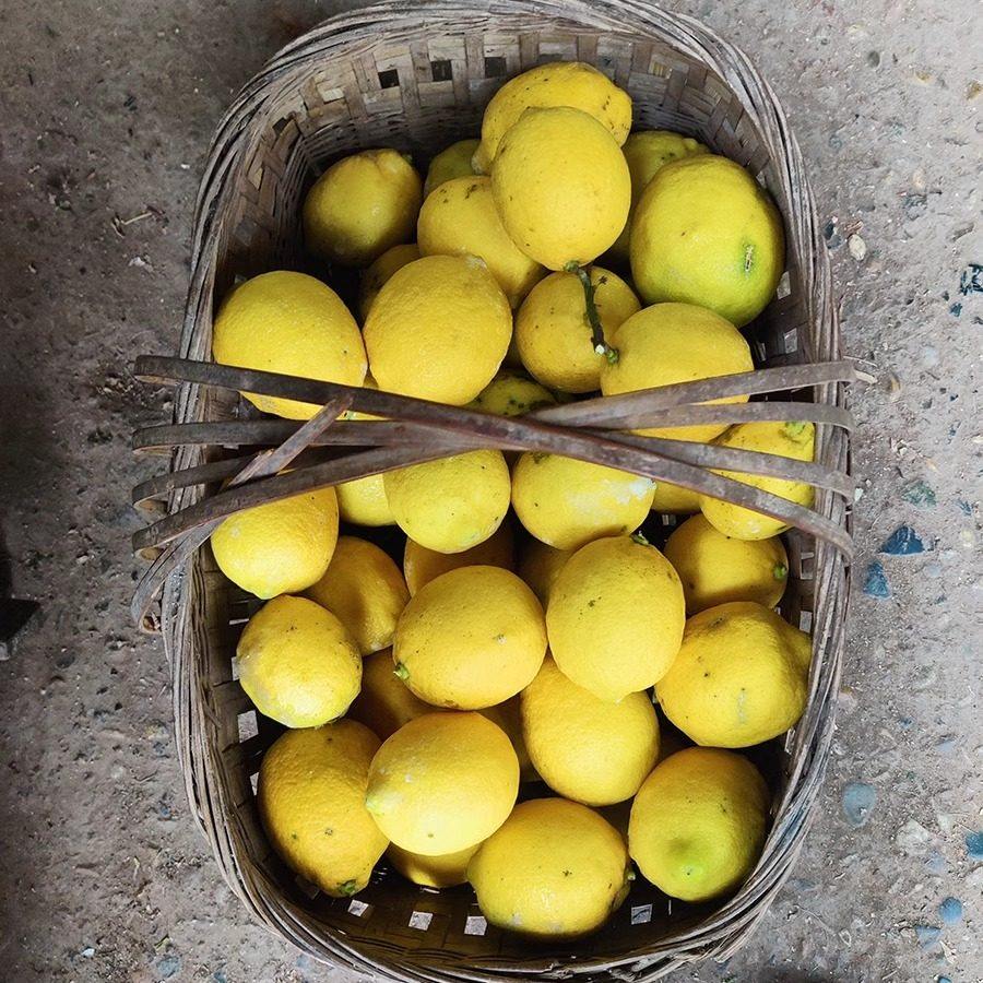 四川天然土柠檬无农药新鲜有机健康孕妇水果青黄柠檬5斤榨汁泡水,包装,水果包装,淘宝优惠券,粉丝福利购,淘宝优惠卷