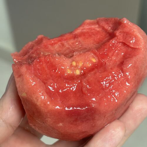 福建漳州自种软糯红心芭