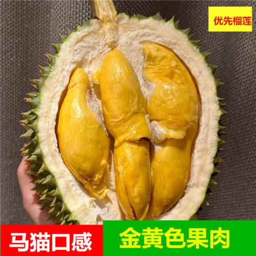 【抢福利托曼尼甲仑】泰