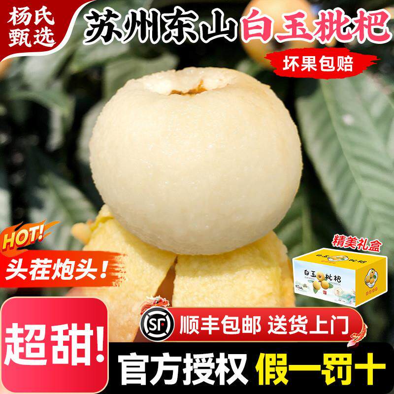 苏州东山白玉枇杷鲜果应季水果新鲜大果青种琵琶超甜5斤礼盒顺丰
