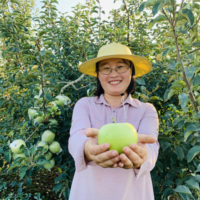 青岛宝山青森苹果明月苹果5斤装青森苹果水蜜桃苹果现摘现发