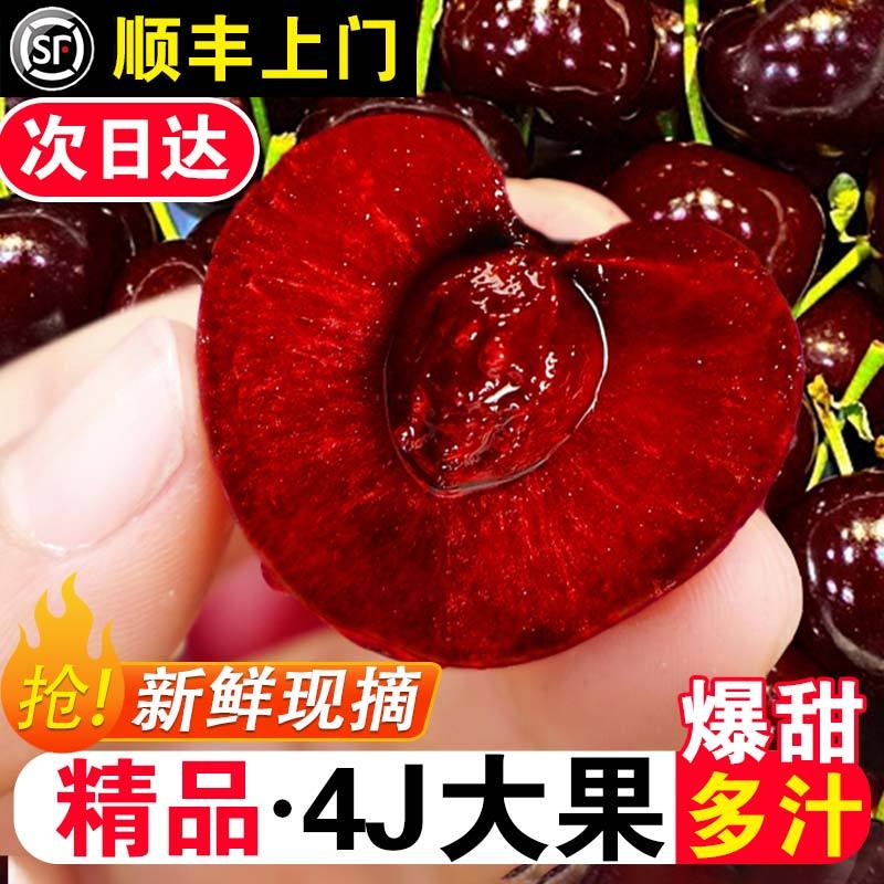 美早大樱桃新鲜水果3/5斤4J特级当季整箱包邮车厘子礼盒顺丰包邮