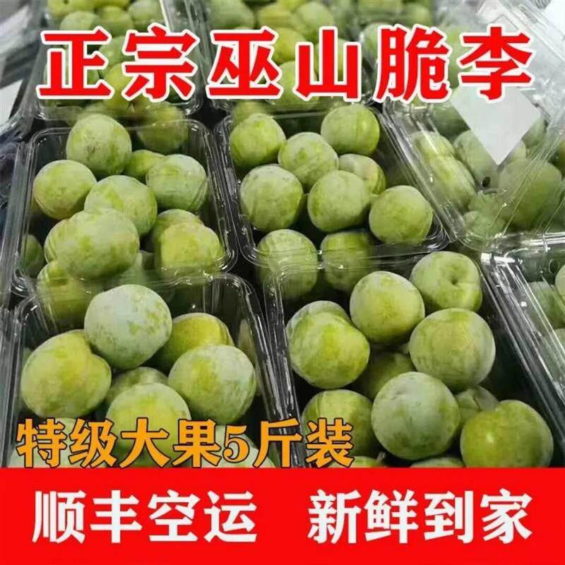 顺丰重庆巫山脆李脱骨李子四川5斤新鲜水果当季整箱孕妇青脆李土W