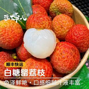 蛋婶儿老树白糖罂荔枝高州特产新鲜水果当季产地直发顺丰空运