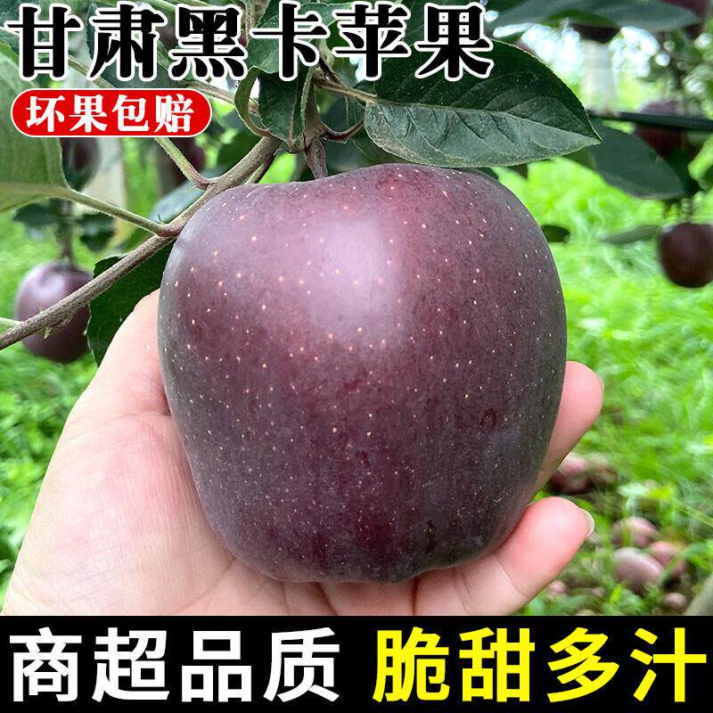 甘肃黑卡苹果正宗黑钻苹果应当季新鲜水果现摘冰糖心脆面苹果整箱