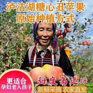 云南丽江宁蒗泸沽湖纯甜冰糖心丑苹果非盐源凉山苹果